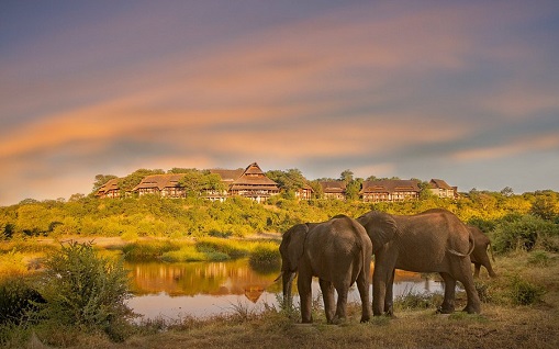 Elephants at Siduli Hide in front of Victoria Falls Safari Lodge, Victoria Falls, Zimbabwe